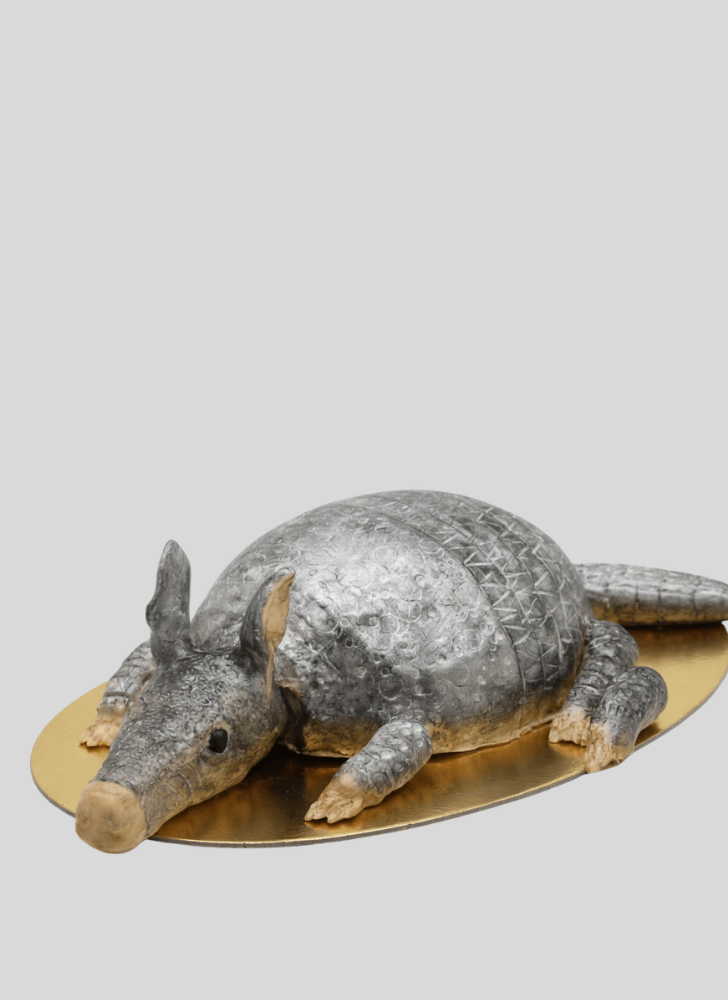 Ravishing Armadillo Cake