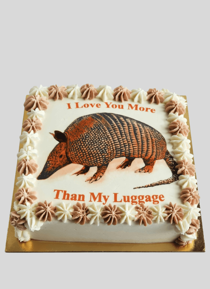 Refined Armadillo Cake