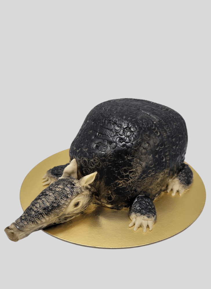 Resplendent Armadillo Cake