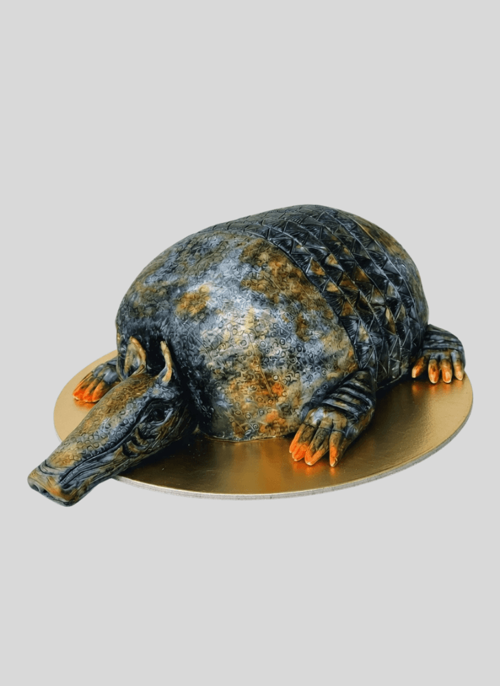 Shapely Armadillo Cake