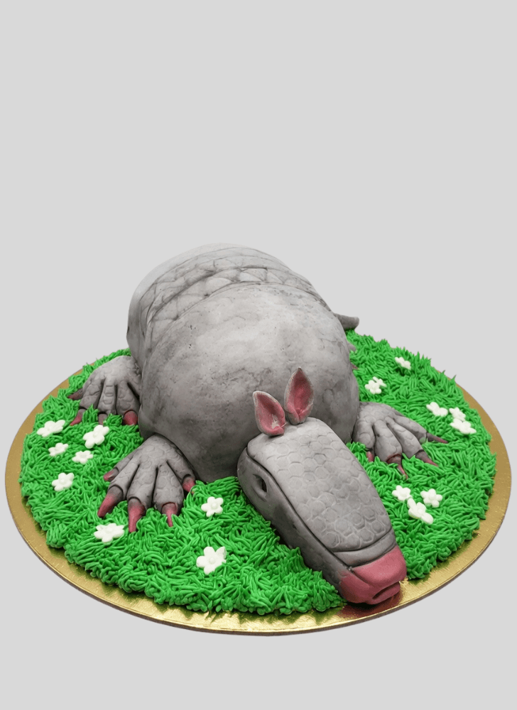 Slightly Armadillo Cake