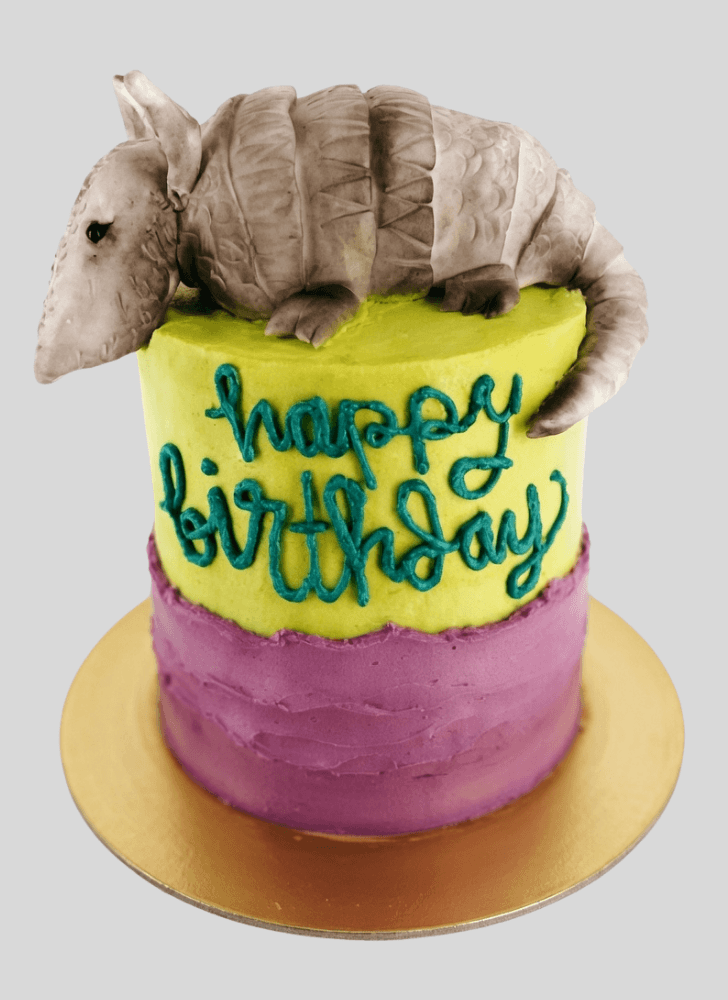 Splendid Armadillo Cake
