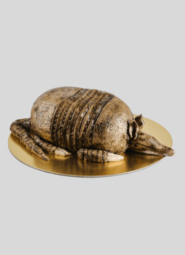 Stunning Armadillo Cake