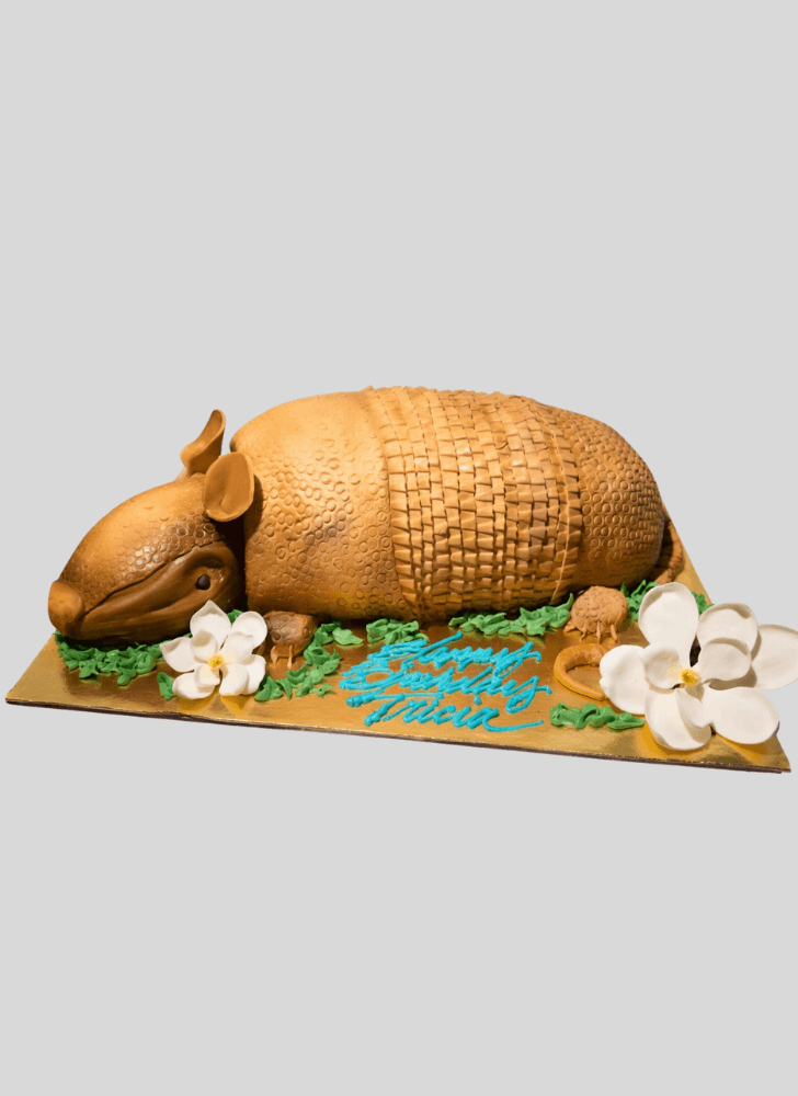 Superb Armadillo Cake