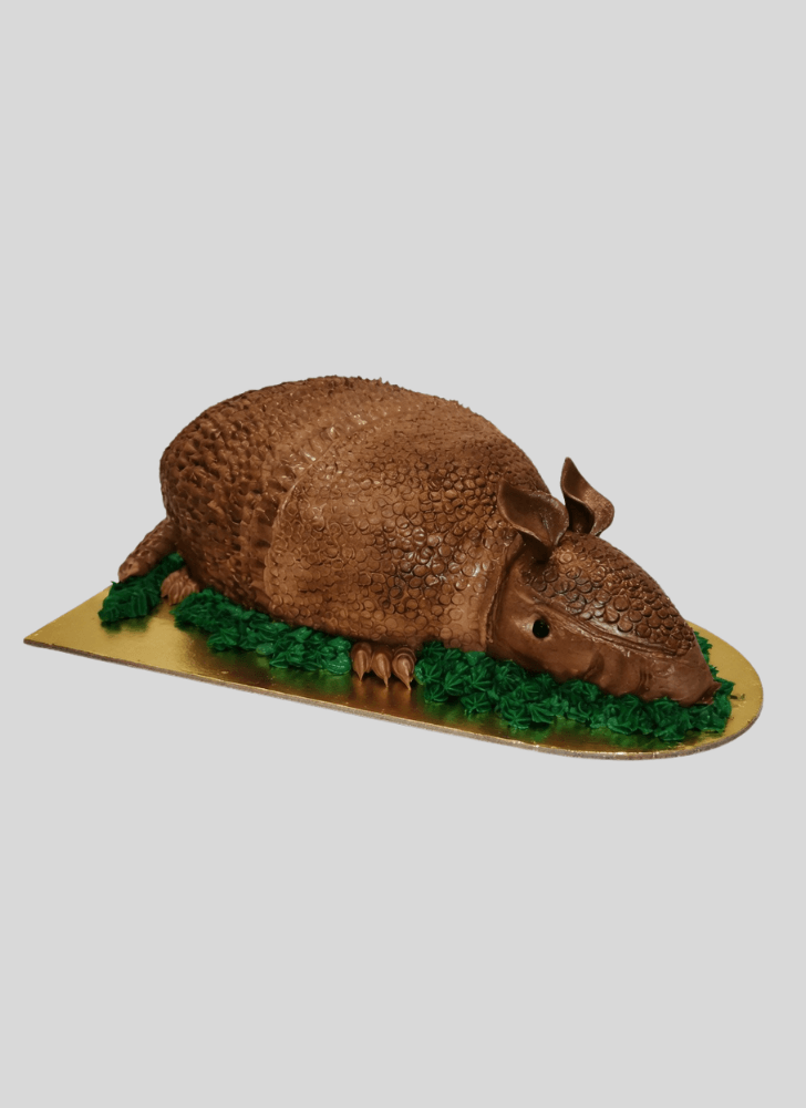 Wonderful Armadillo Cake Design