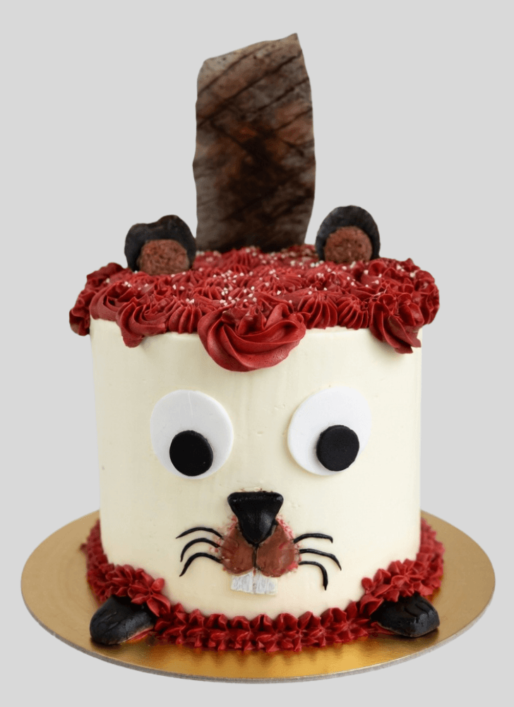Pretty Beaver Cake