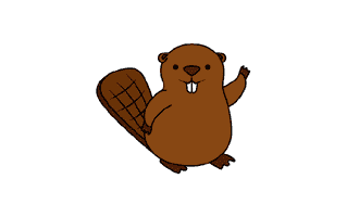 Beaver