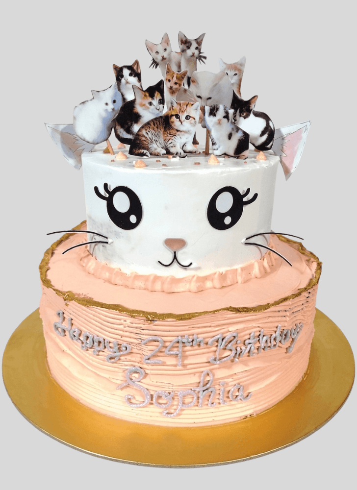 Fair Kitten Cake