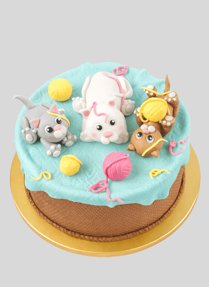 Gorgeous Kitten Cake