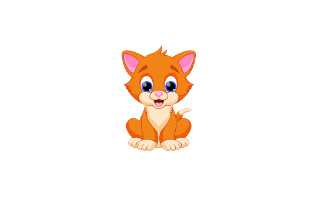 Kitten