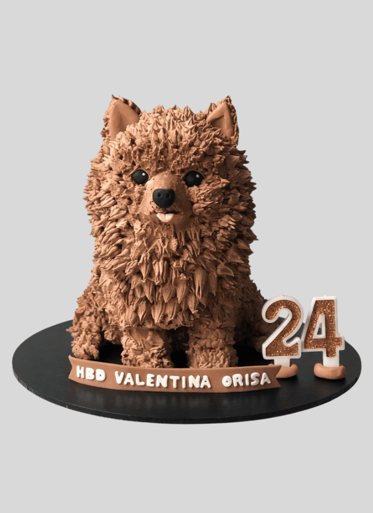 Admirable Pomeranian Cake Design