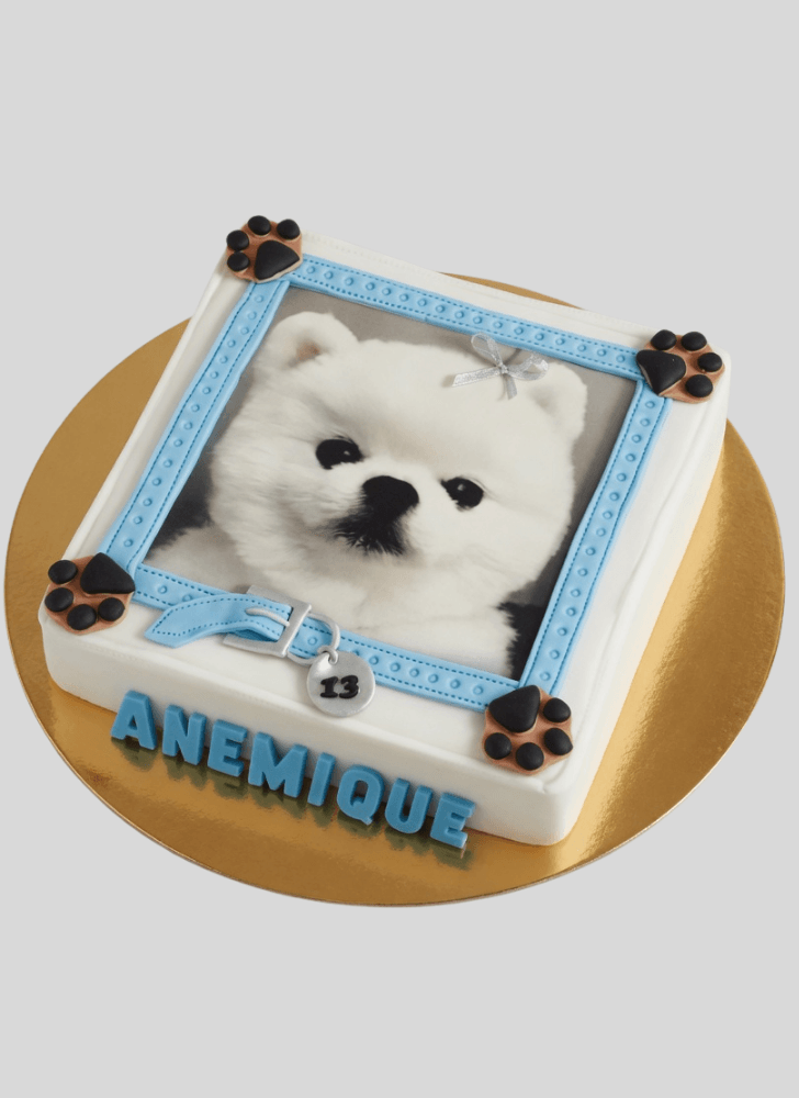 Adorable Pomeranian Cake