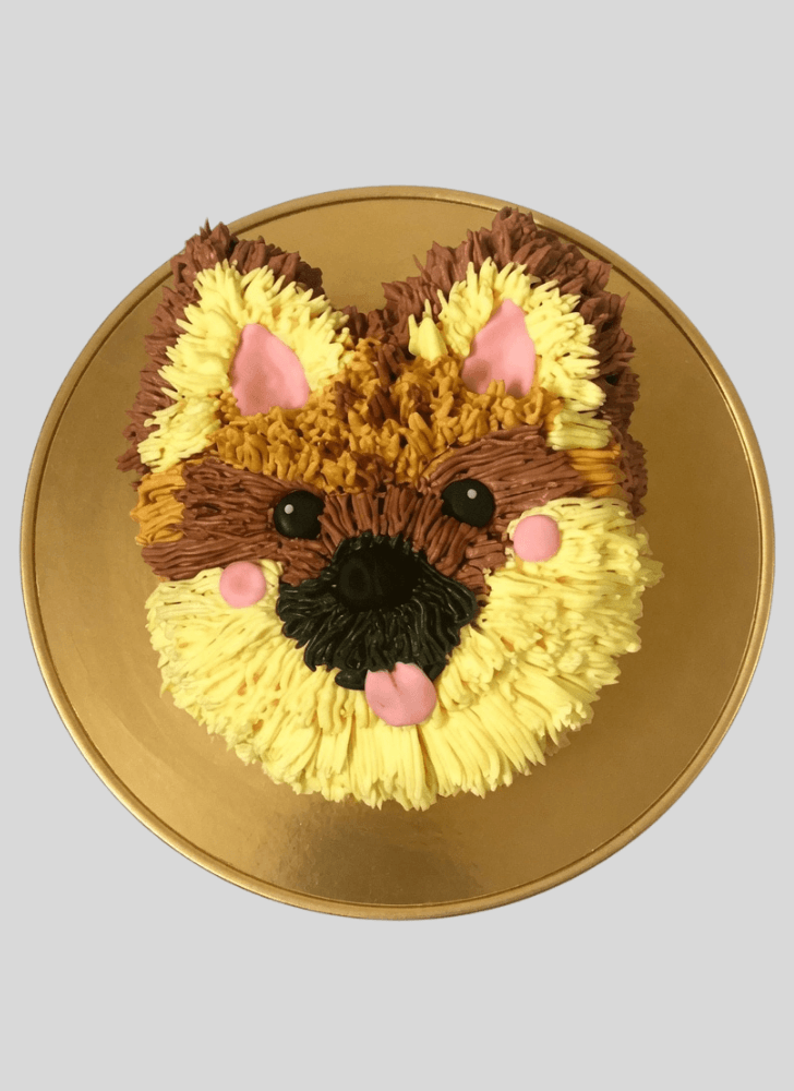 Alluring Pomeranian Cake