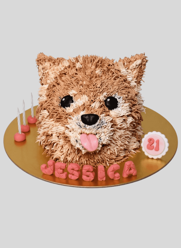 Angelic Pomeranian Cake