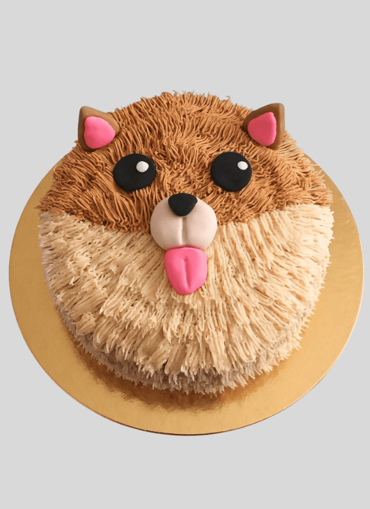 Captivating Pomeranian Cake