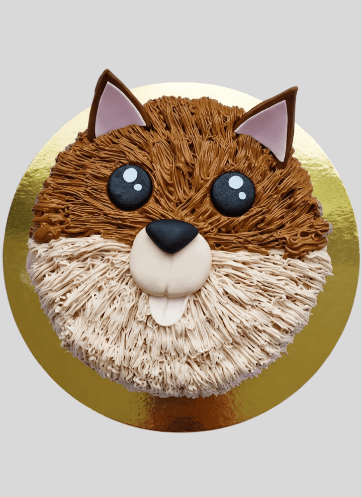 Classy Pomeranian Cake