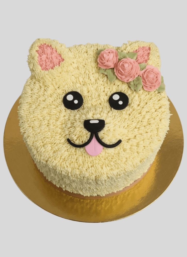Dazzling Pomeranian Cake