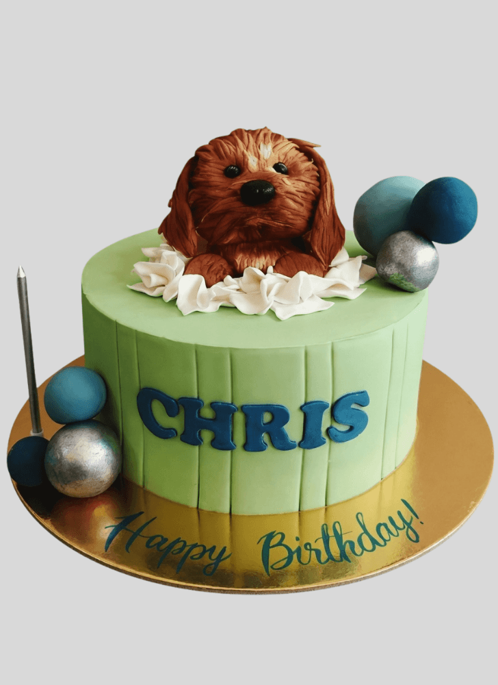 Delicate Pomeranian Cake