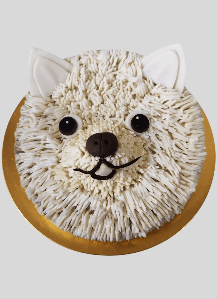 Delightful Pomeranian Cake