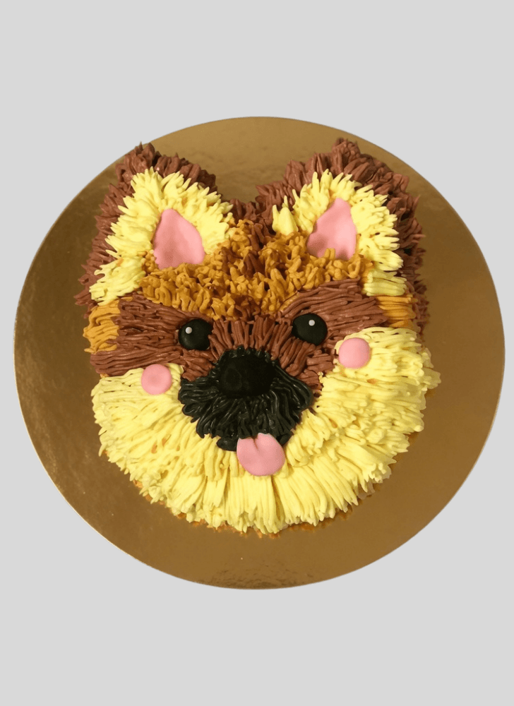 Divine Pomeranian Cake
