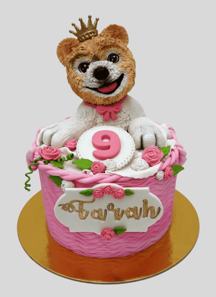 Enticing Pomeranian Cake