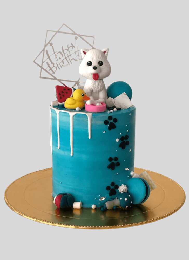 Exquisite Pomeranian Cake