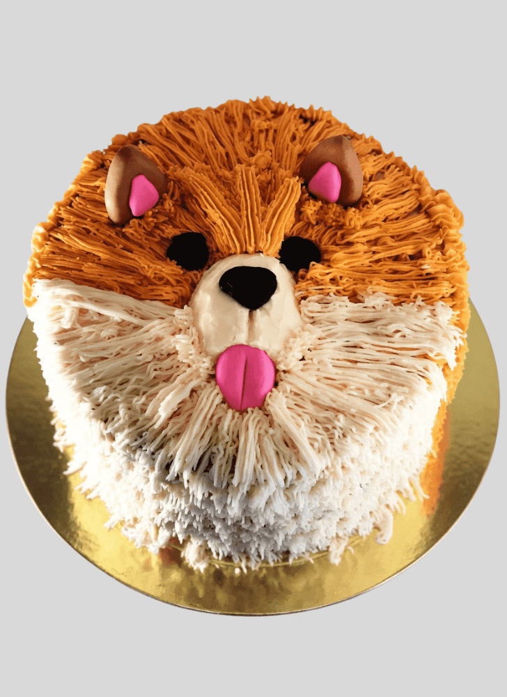 Fascinating Pomeranian Cake
