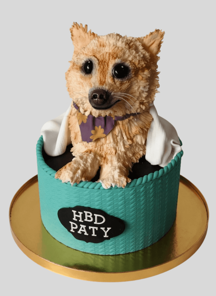 Fine Pomeranian Cake