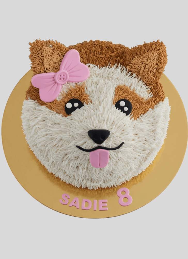 Good Looking Pomeranian Cake
