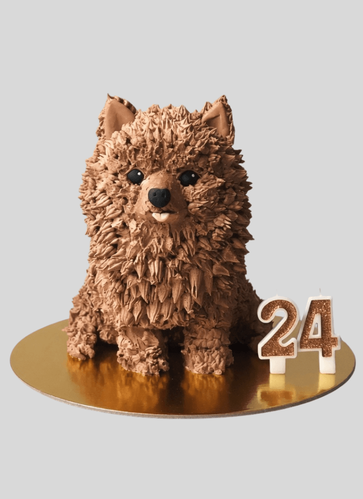 Gorgeous Pomeranian Cake