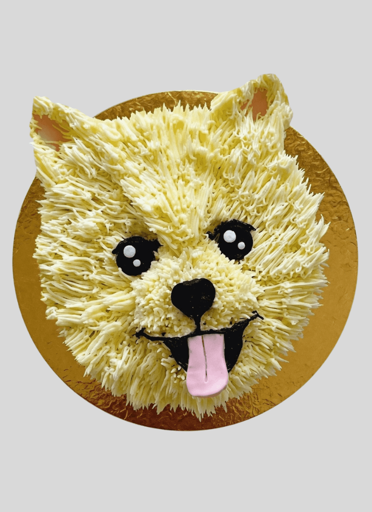 Graceful Pomeranian Cake