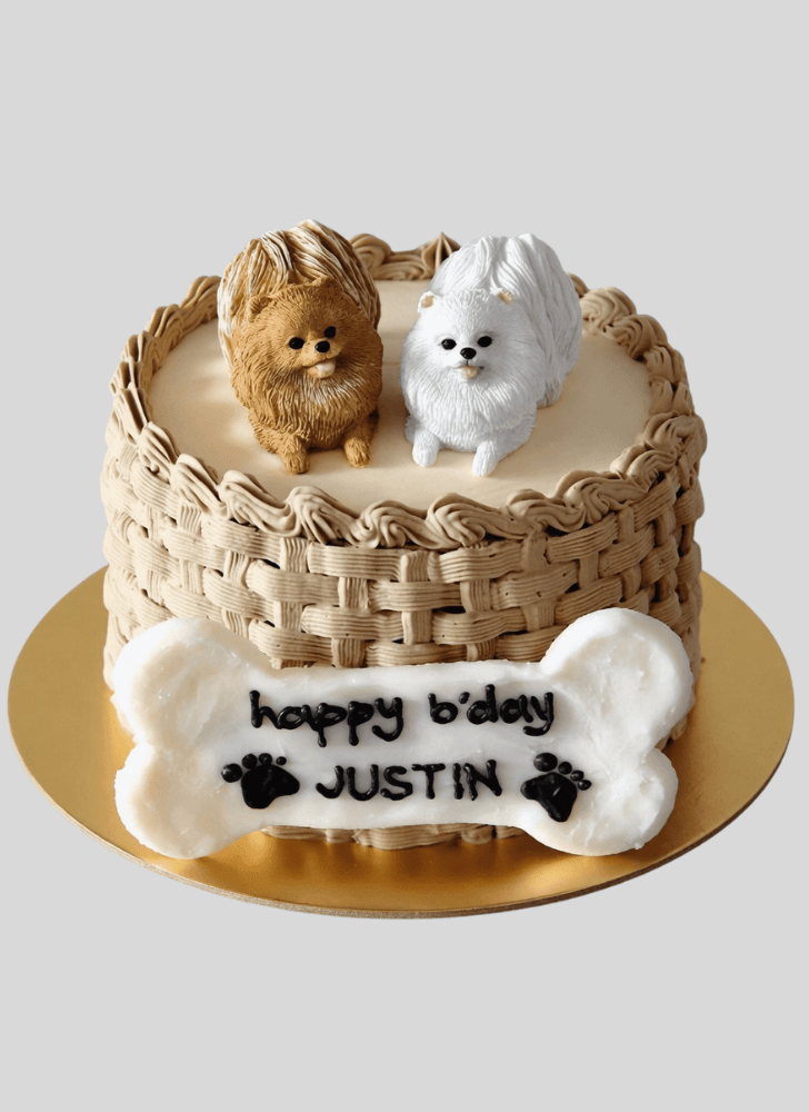 Handsome Pomeranian Cake