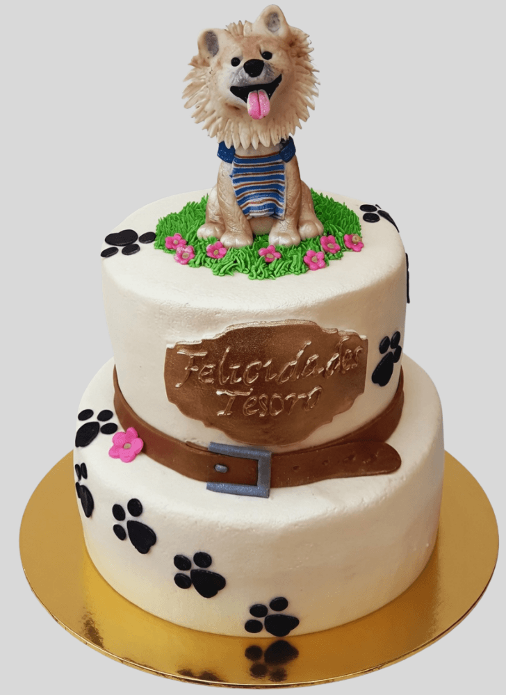 Pretty Pomeranian Cake