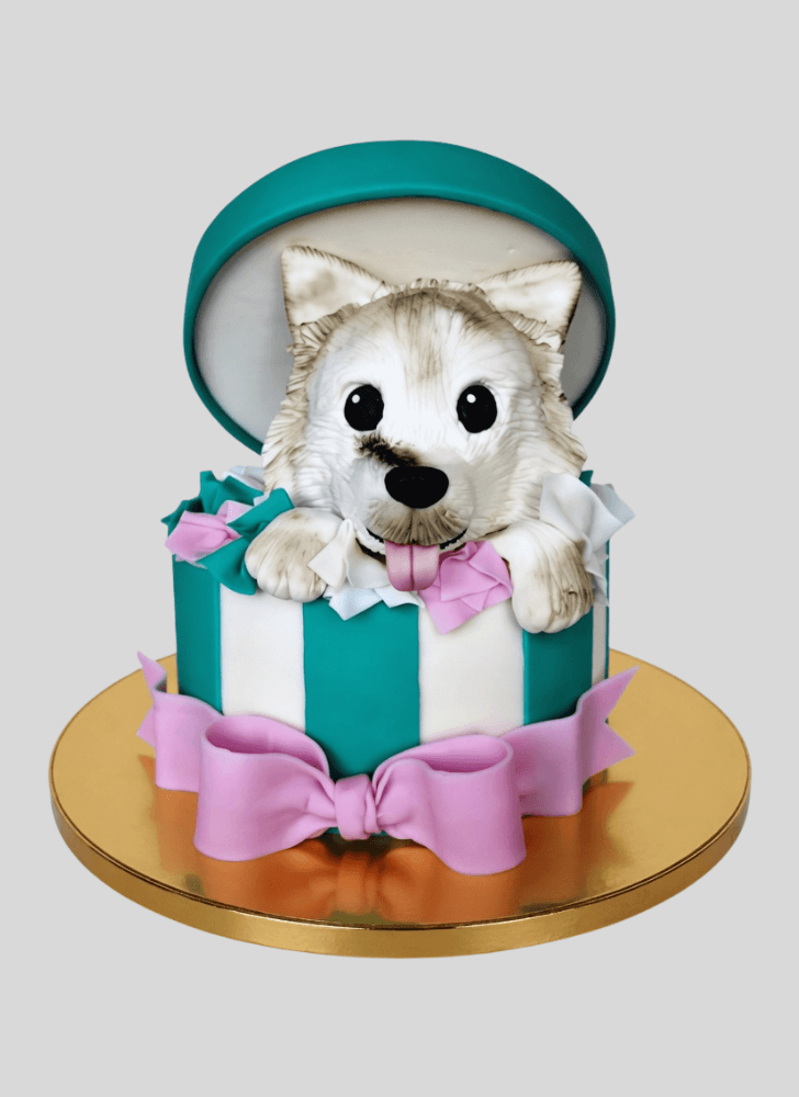 Refined Pomeranian Cake