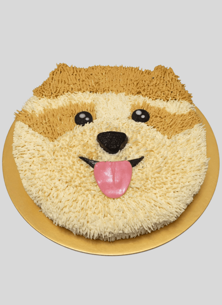 Shapely Pomeranian Cake
