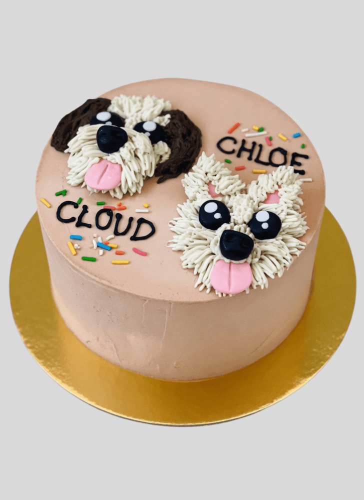 Slightly Pomeranian Cake