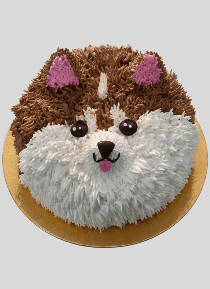 Splendid Pomeranian Cake