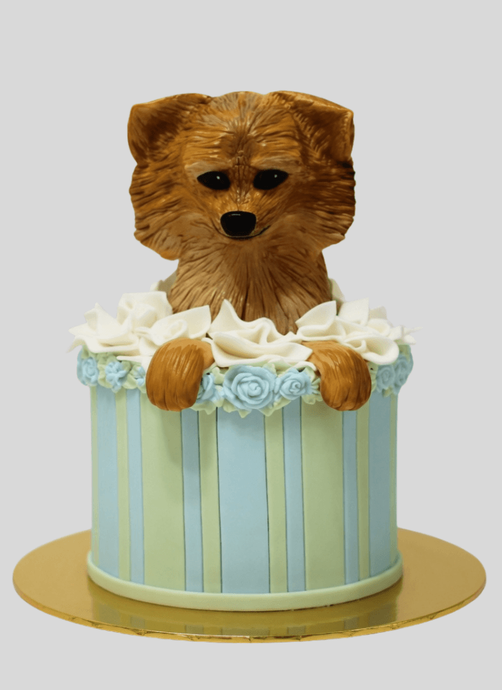 Superb Pomeranian Cake