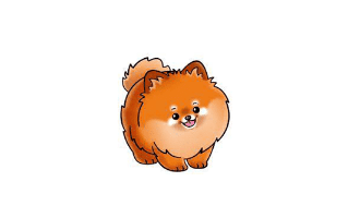 Pomeranian