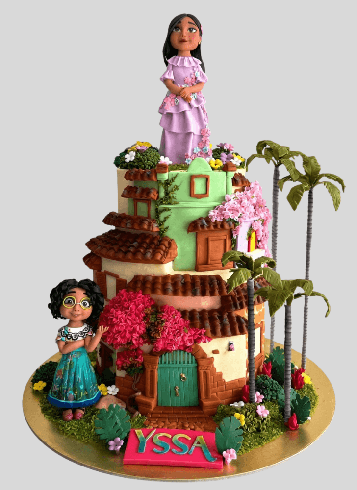 Excellent Encanto Cake