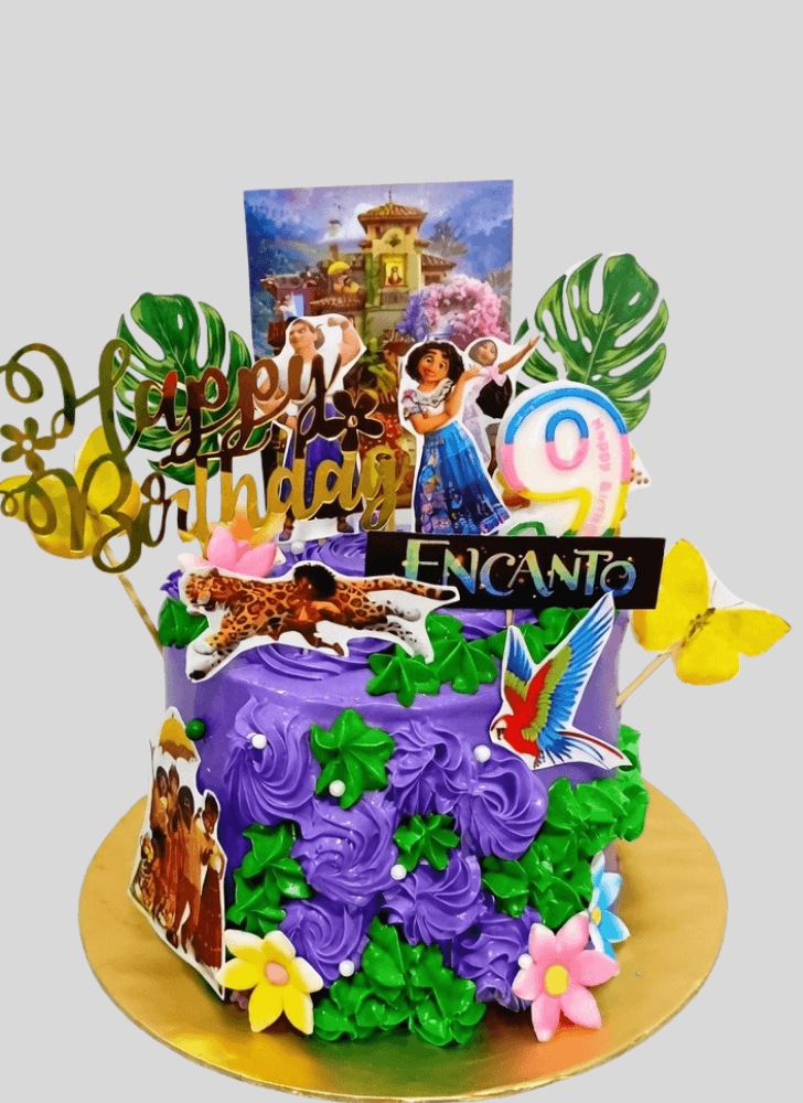 Exquisite Encanto Cake
