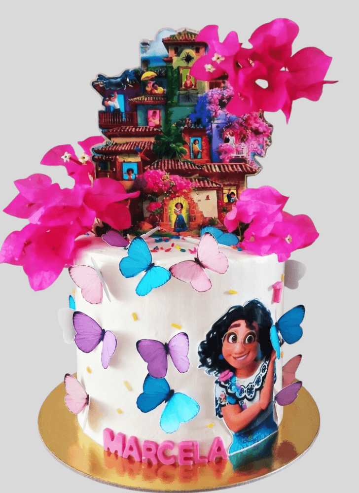 Fetching Encanto Cake