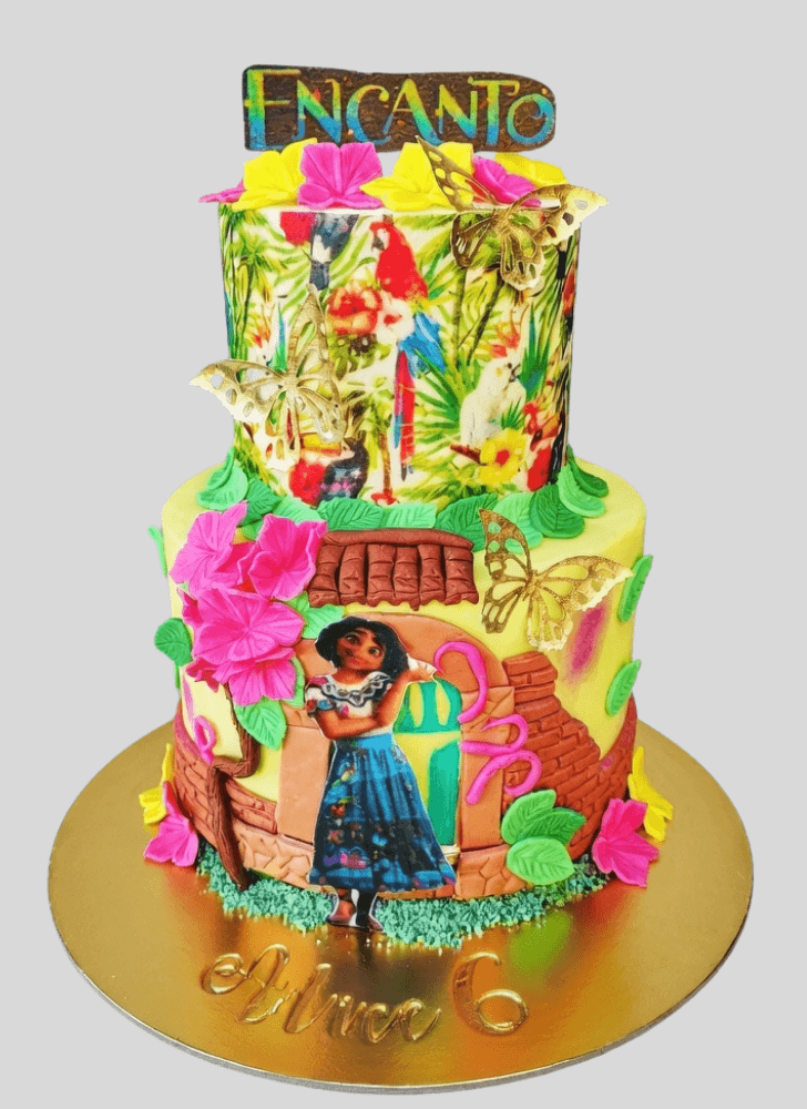 Good Looking Encanto Cake