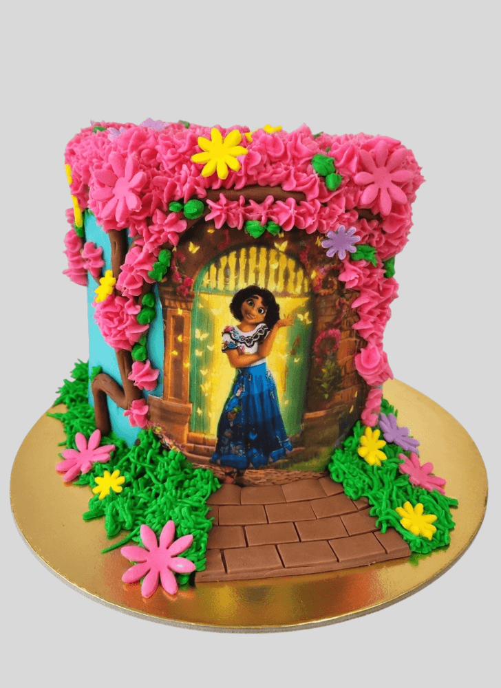 Gorgeous Encanto Cake