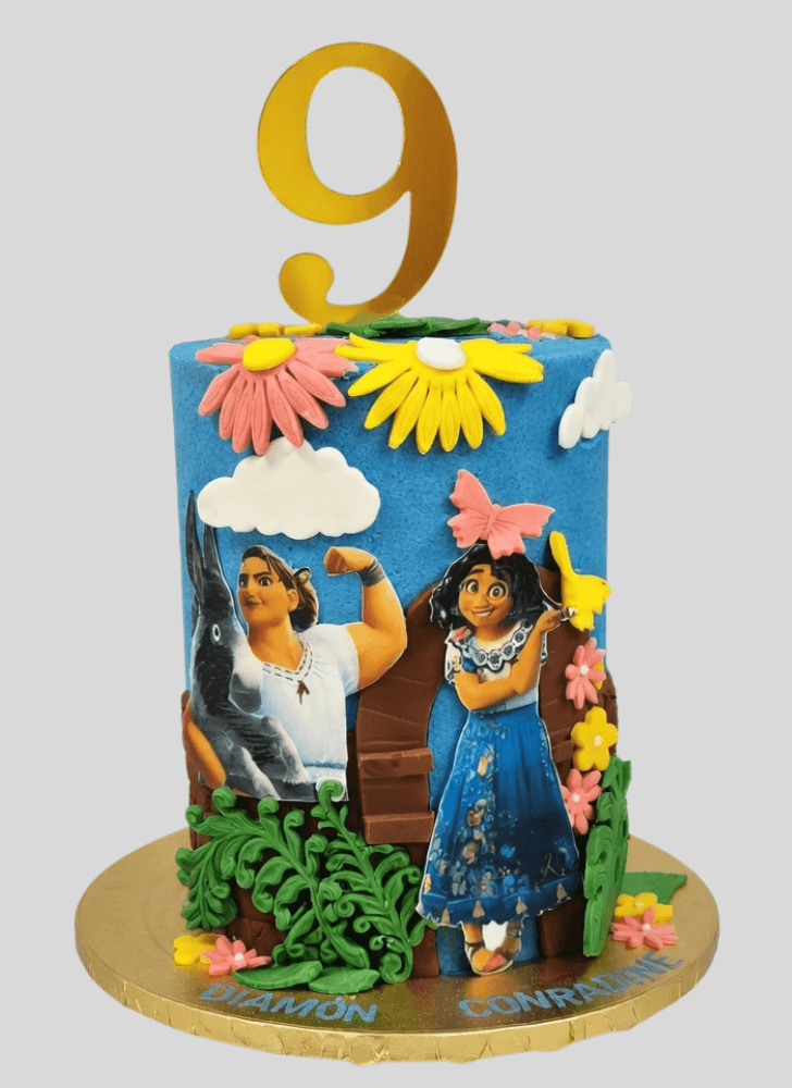 Handsome Encanto Cake