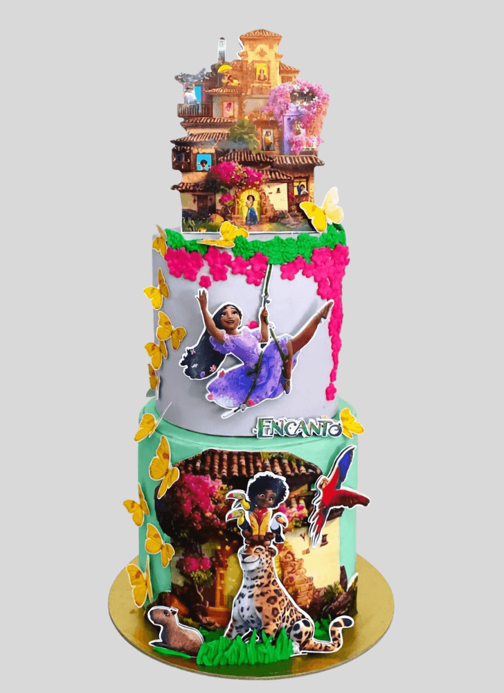 Ideal Encanto Cake