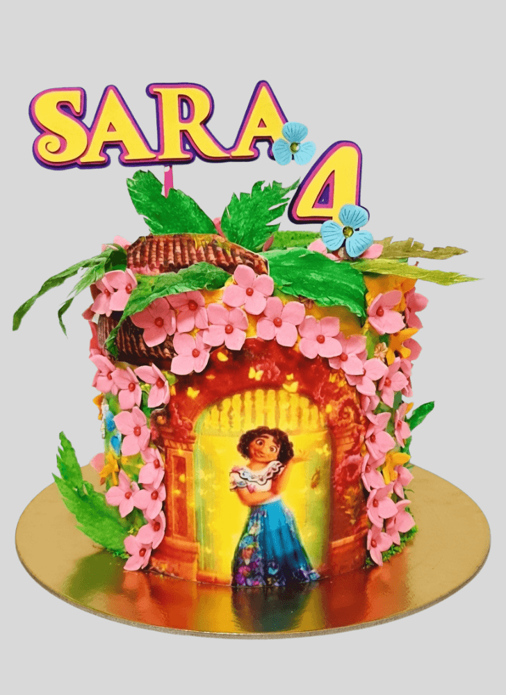 Magnetic Encanto Cake