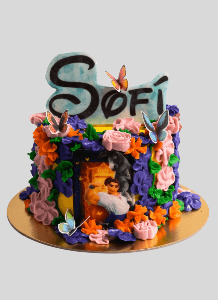 Magnificent Encanto Cake