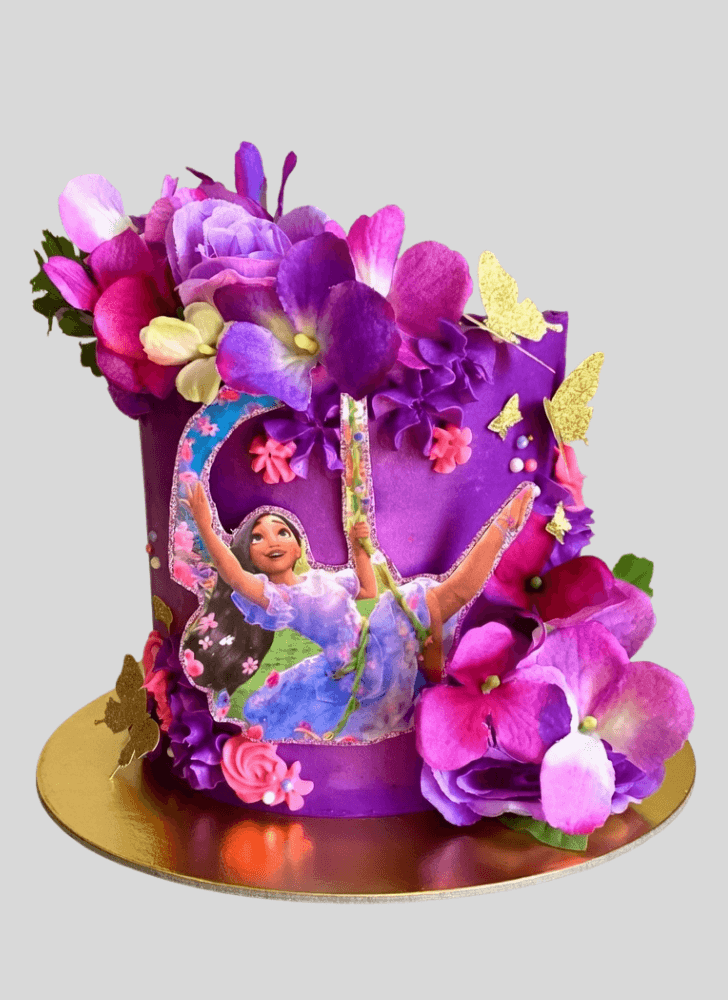 Pretty Encanto Cake