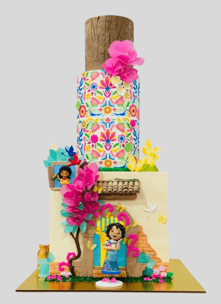 Shapely Encanto Cake